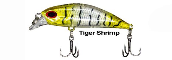 RYUJI S50 Tiger Shrimp