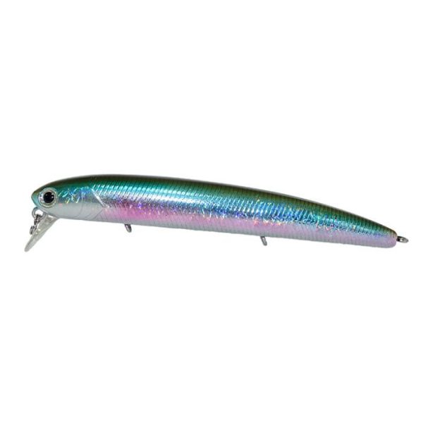 SEA BASS KENDOZO - Image 4