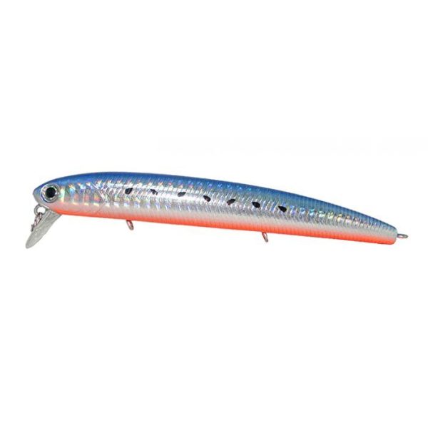 SEA BASS KENDOZO - Image 5